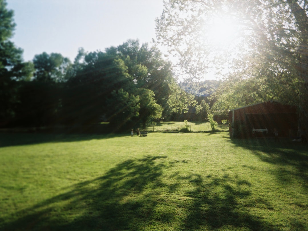 Nostalgia for the Summer: The Sights, Sounds, and Smells of Late-Season Ball